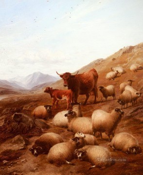 イングランド クーパー トーマス シドニー 1803 1902 ハイランドの羊にて Oil Paintings